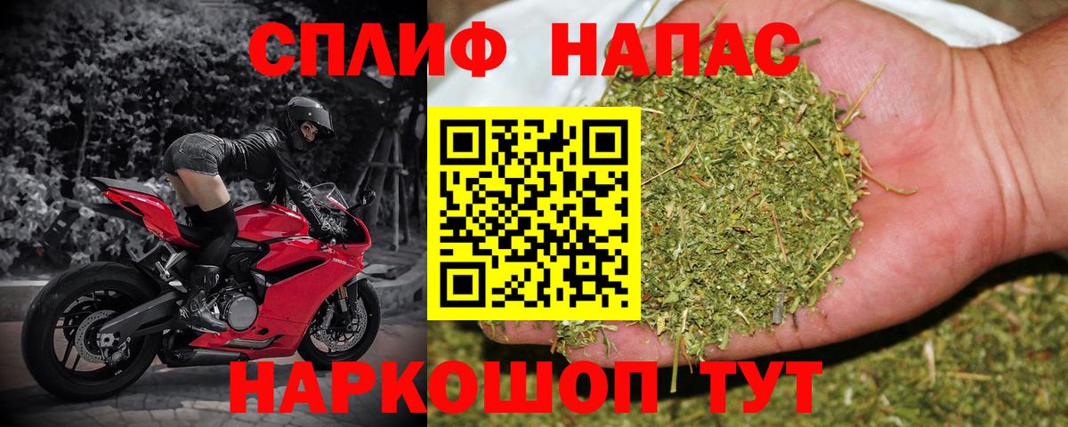 МАРИХУАНА семена Кингисепп